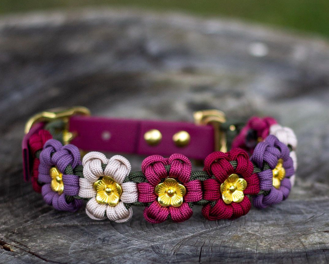 Collare Flower